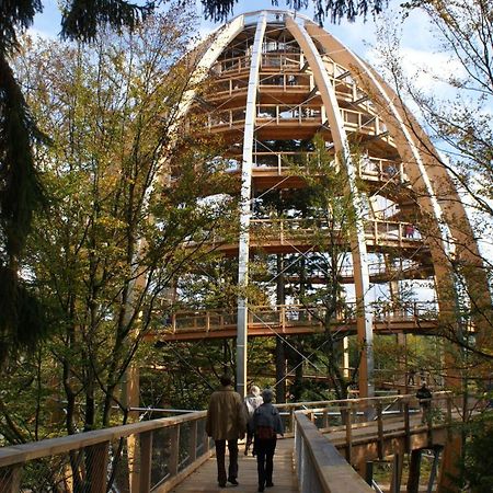 Haus Beate, Fewo Im Bienenparadies Kirchberg  Eksteriør bilde