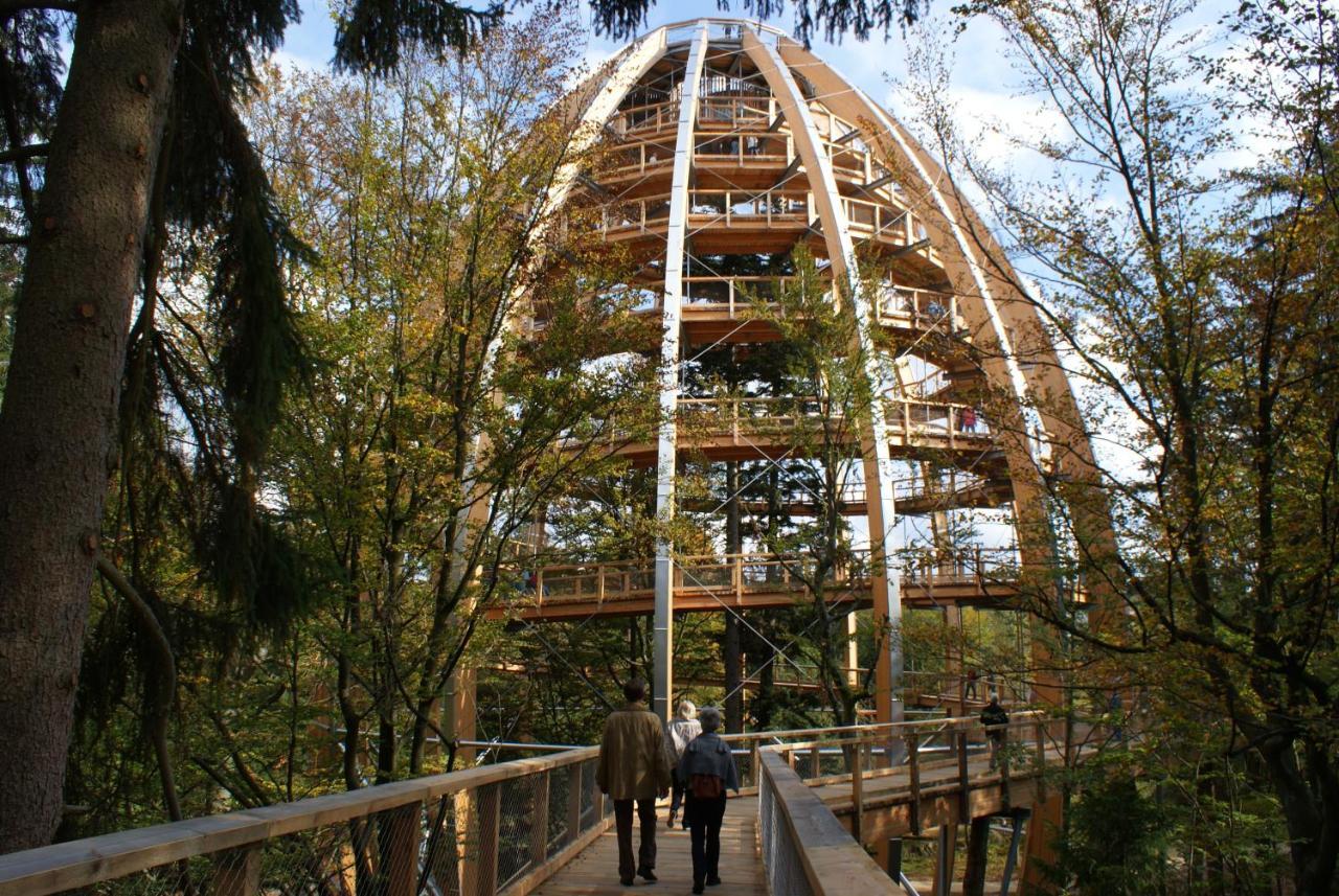 Haus Beate, Fewo Im Bienenparadies Kirchberg  Eksteriør bilde